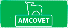 амковент 1